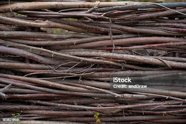 Primo Piano Di Vimini Parete - Fotografie stock e altre immagini di Albero - Albero, Ambientazione esterna, Architettura