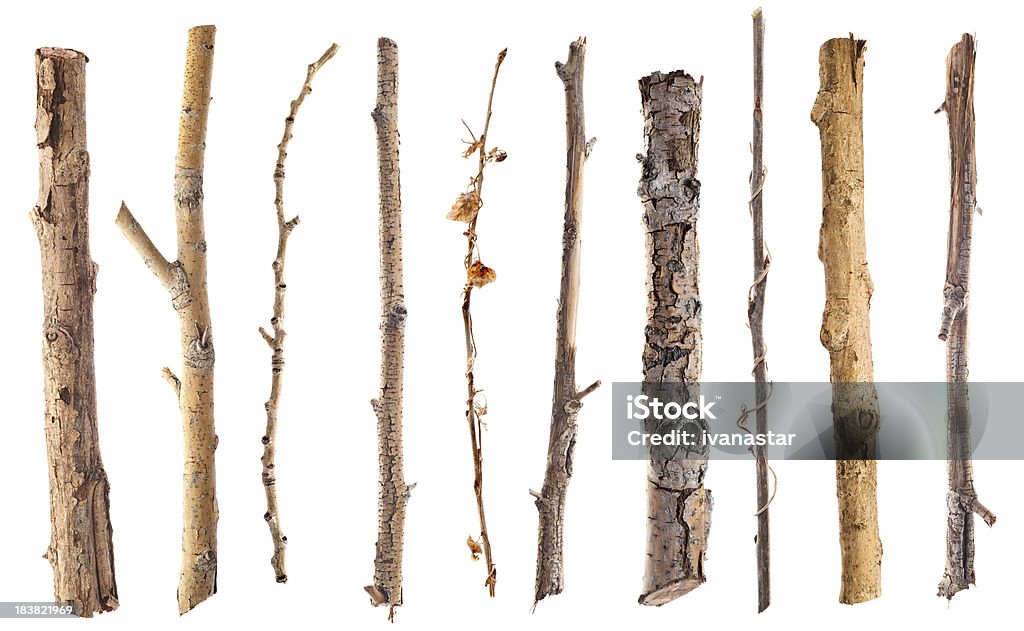 Twigs и палки Изолирован на белом - Royalty-free Ramo - parte de uma planta Foto de stock
