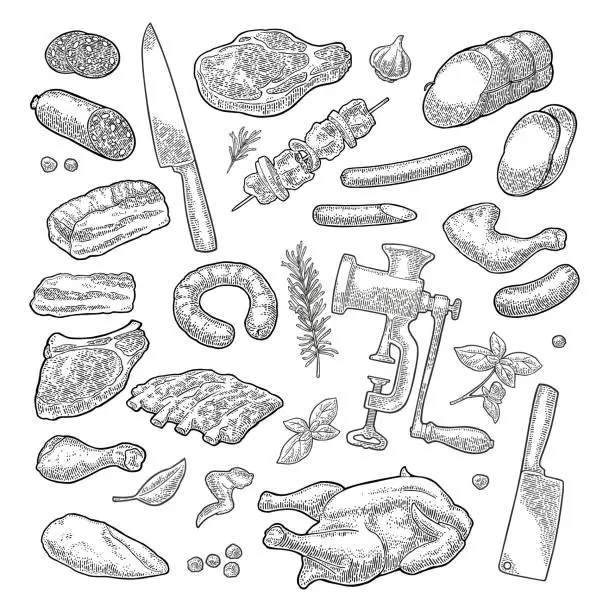 Vector illustration of Set meat products and kitchen equipment. Vintage vector engraving