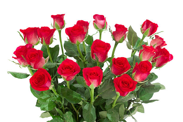 istock Bouquet of red roses isolated on white background 183822709
