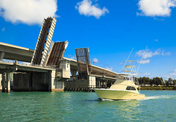 istock vintage fishing boat crusing in miami 183822894