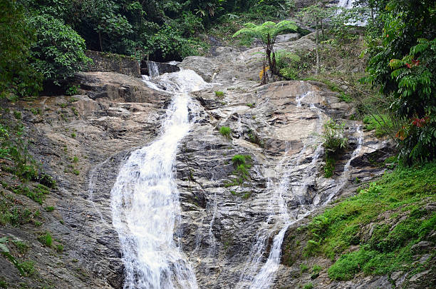 Waterfall in Malaysia Jungle stock photo