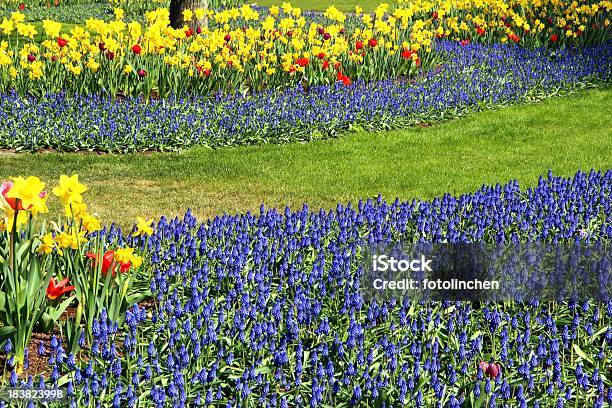 Garten Im Frühling Stockfoto und mehr Bilder von Blau - Blau, Blume, Blumenbeet