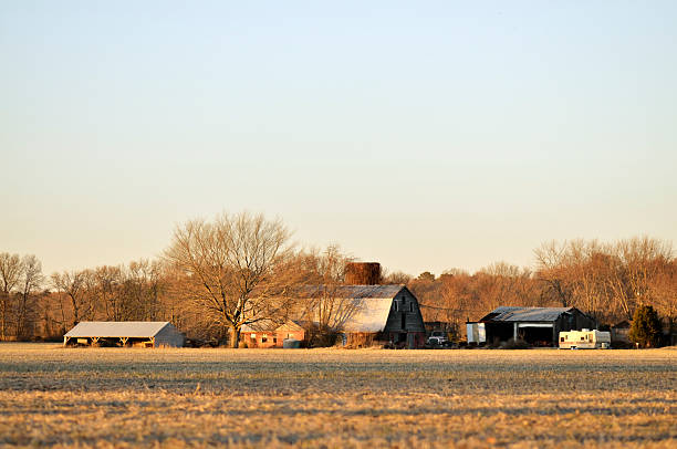 istock Farm Building In December Afternoon Light 183824304