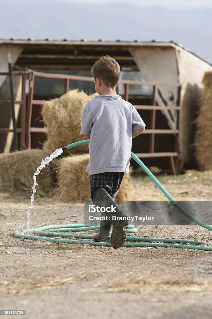 little farmboy - Foto de stock de Agricultor royalty-free
