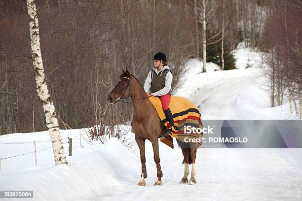 Young Woman Horseback Riding In The Snow Oslo Norway Stock Photo - Download Image Now