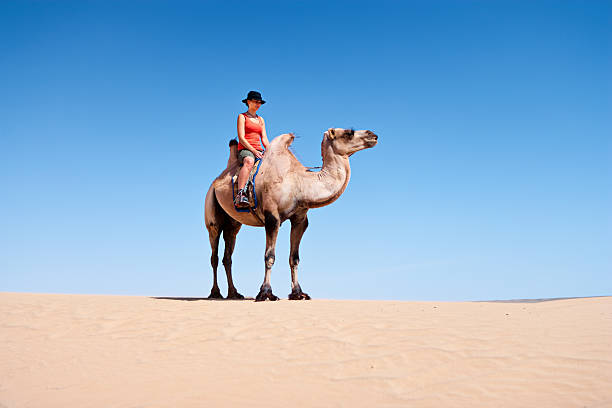 istock Young woman riding on the camel 183825117