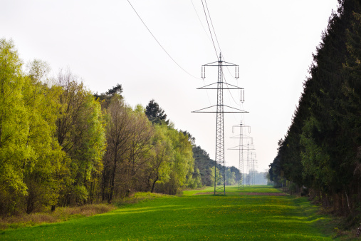 A transmission tower and high voltage wires on the background of sakura trees