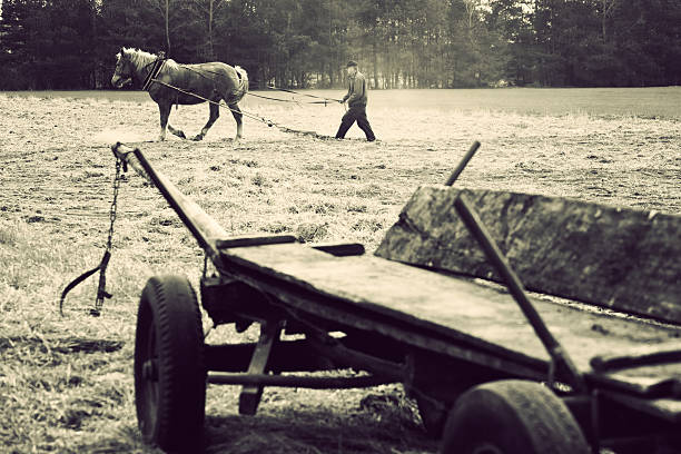 Farmer and horse