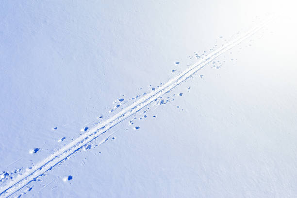 Low sun, shadows in ski tracks and pole marks.