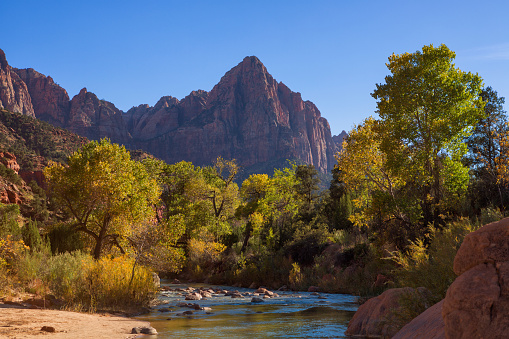 View of the Watchman mountain and the virgin river in Zion National Park located in the Southwestern United States, near Springdale, Utah