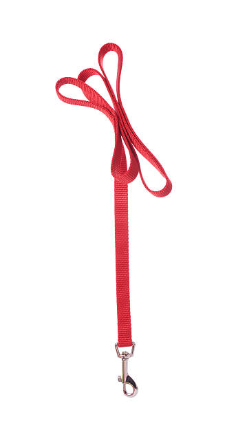 Dog Leash Classic Red Nylon Dog LeashPLEASE CLICK ON THE IMAGE BELOW TO SEE MY DOGGY LIGHTBOX PORTFOLIO: pet leash photos stock pictures, royalty-free photos & images