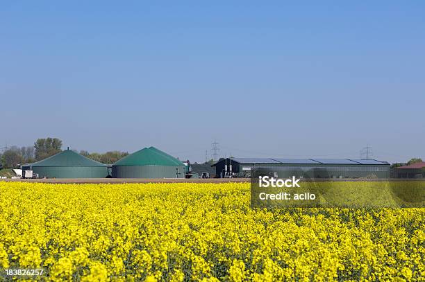 Biogás Plantas E Campo De Colza - Fotografias de stock e mais imagens de Biogás - Biogás, Quinta, Biometano