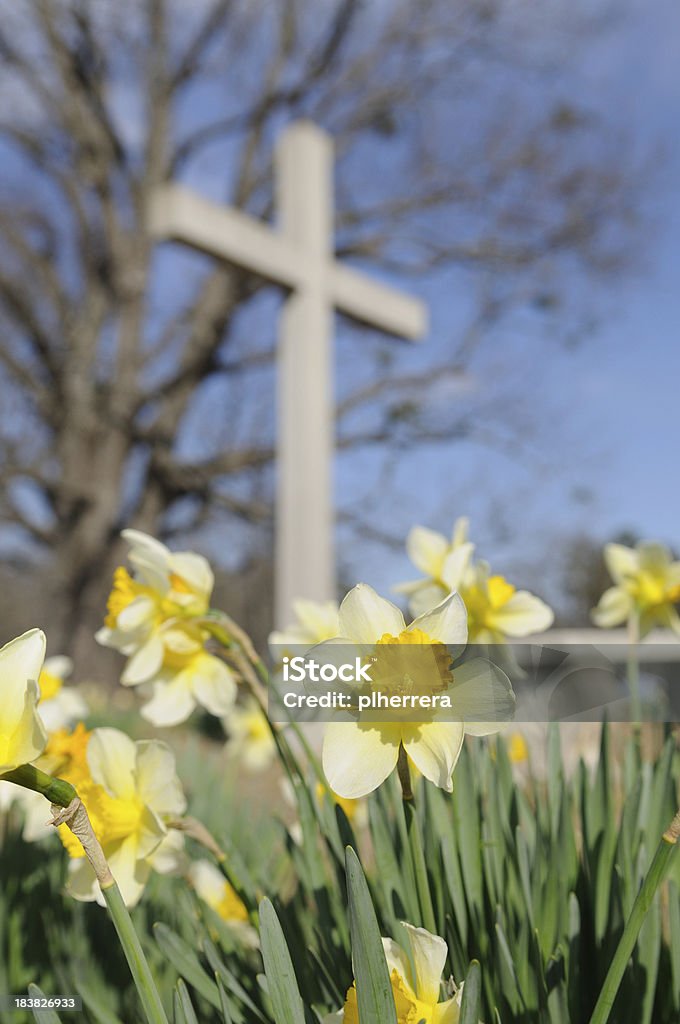 Gelbe Narzissen vor einem weißen Cross - Lizenzfrei Arkansas Stock-Foto
