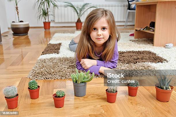 수집 Cactuses 선인장에 대한 스톡 사진 및 기타 이미지 - 선인장, 아이, 가정 생활