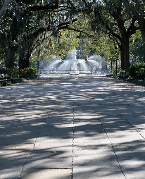 istock Forsythe Park, Savannah, Georgia 183827469