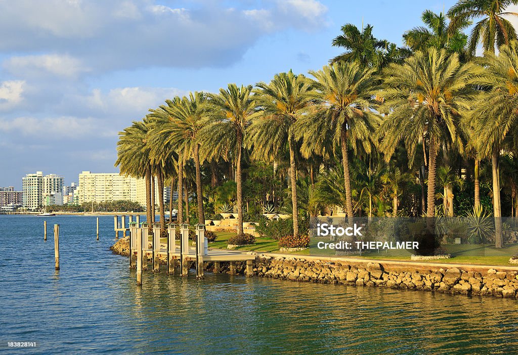 Star island Miami - Foto de stock de Aire libre libre de derechos