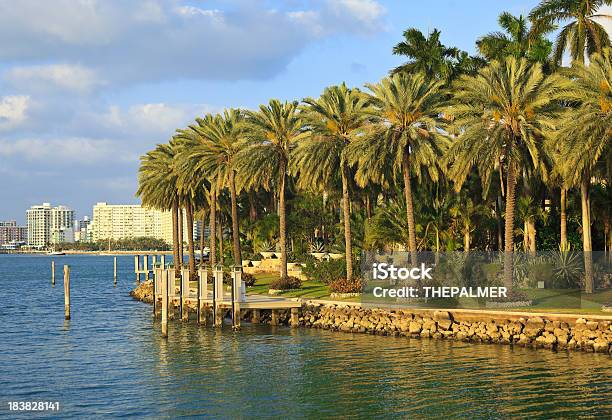 Star Island Miami Foto de stock y más banco de imágenes de Aire libre - Aire libre, Bahía, Bahía de Biscayne
