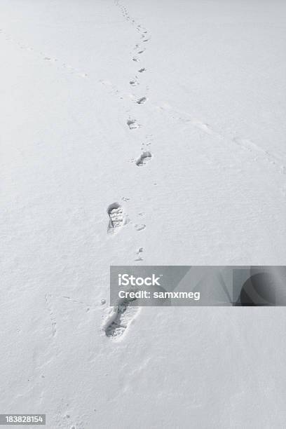 Po Śladach W Śniegu - zdjęcia stockowe i więcej obrazów Aktywny tryb życia - Aktywny tryb życia, Chłodny, Cień