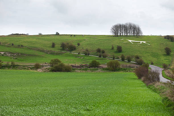 istock Hackpen White Horse Hill Figure, Wilshire, England 183828331