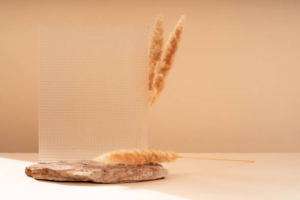 istock Podium for exhibitions and product presentations, material: stone, wood, dry branches. Beautiful beige background made from natural materials. Abstract nature scene with composition. 1838284090