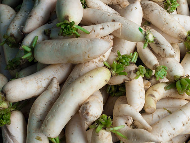 Daikon-Rettich - – Foto