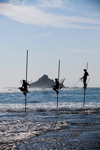 stilt fishing sri lanka