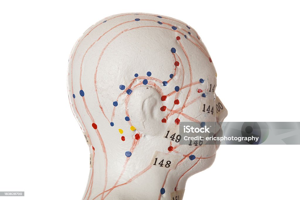 침술용 - 로열티 프리 침술 스톡 사진