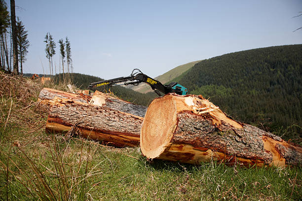 istock Forestry logging scene with mechanical truck 183828764