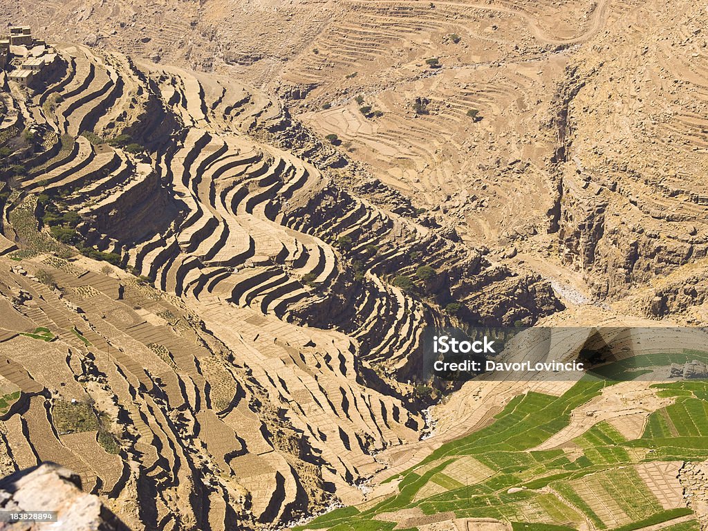 Yemen terraza - Foto de stock de Agricultura libre de derechos