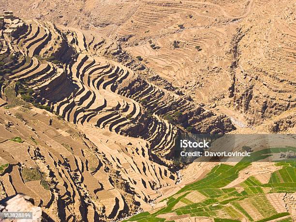 Yemen Terraza Foto de stock y más banco de imágenes de Agricultura - Agricultura, Aire libre, Aislado