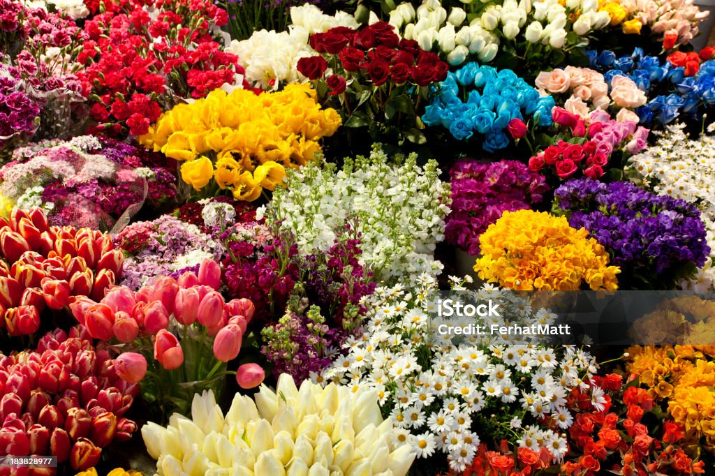 Mercado de agricultores frescos flores coloridas de Flores - Royalty-free Amarelo Foto de stock