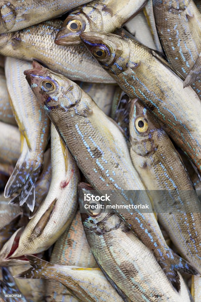 Frische Fisch Markt - Lizenzfrei Bildhintergrund Stock-Foto