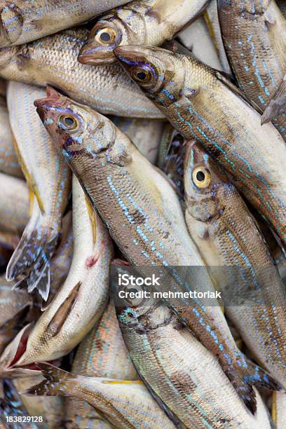 Frische Fisch Markt Stockfoto und mehr Bilder von Bildhintergrund - Bildhintergrund, Essen - Mund benutzen, Fang