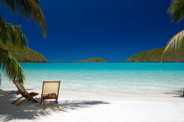 istock Chairs under palm tree at the Caribbean beach 183829924