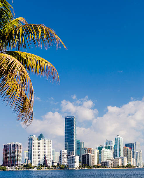 istock Miami Brickell City Skyline Florida USA 183830023