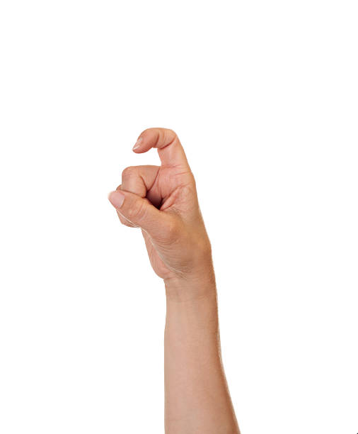 istock Letter X in American Sign Language 183830046