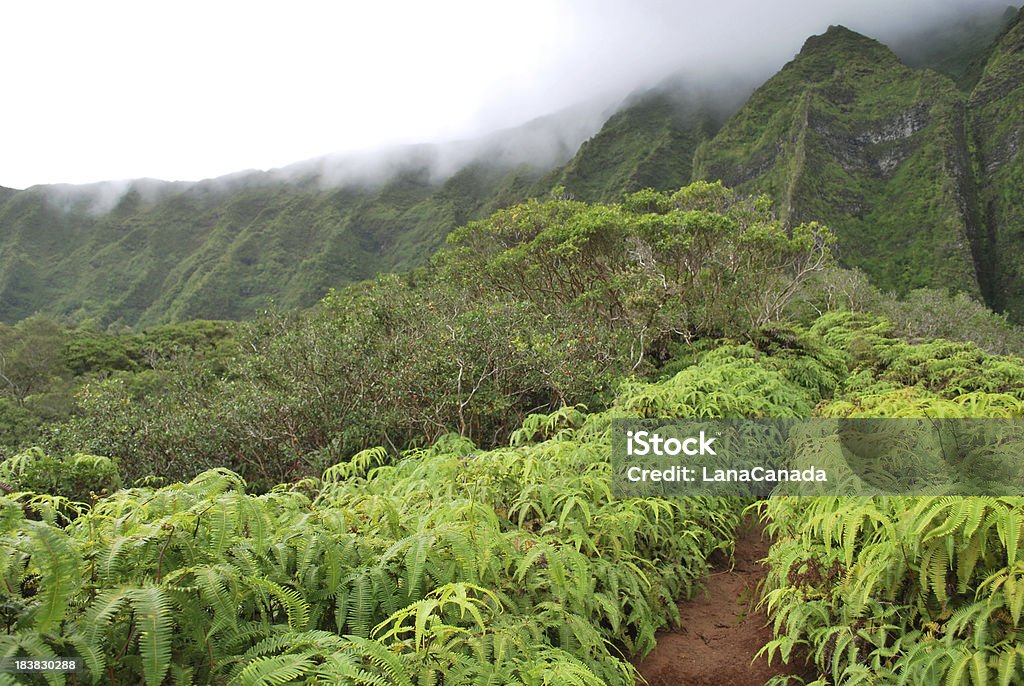 Splendide escursioni nelle Hawaii - Foto stock royalty-free di Ambientazione tranquilla