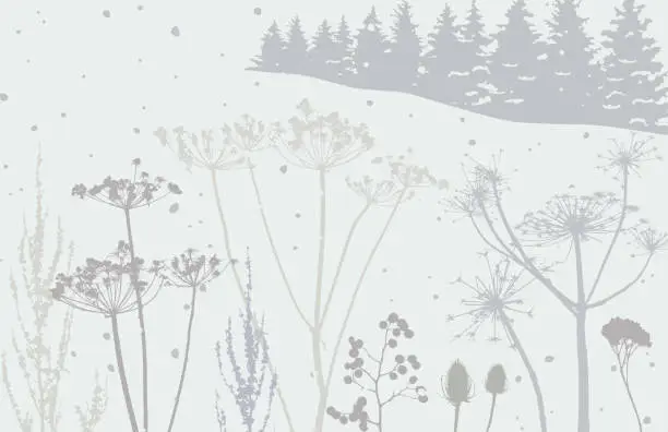 Vector illustration of Winter Countryside scene with Wildflowers