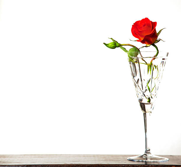 Free picture: Rose bud on a crystal glass with red wine that ...