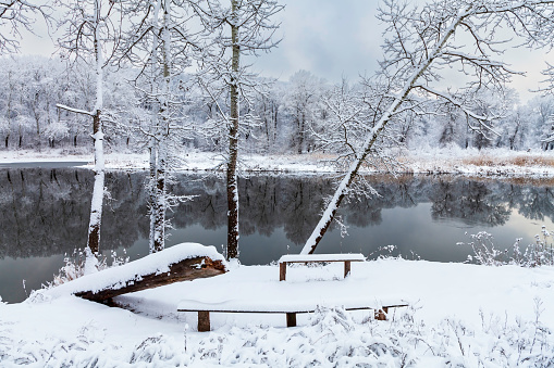 winter landscape by a lake in Swedish nature - the lake is called Drevviken and is located in Tyresö municipality near the city of Stockholm