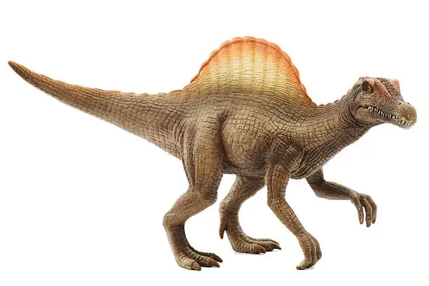 Photo of Vivid model of spinosaurus in white background