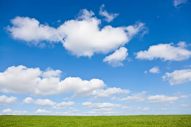 istock Blue sky green grass white clouds horizon landscape 183831459