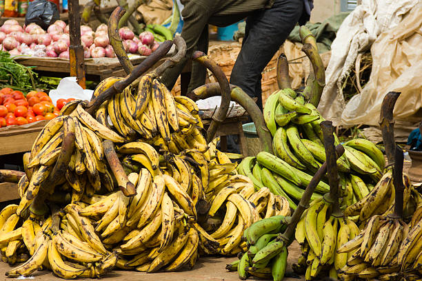 Bananas "Street market on Yaounde, Cameroon. Lots of bananas, fruits and vegetables." yaounde photos stock pictures, royalty-free photos & images