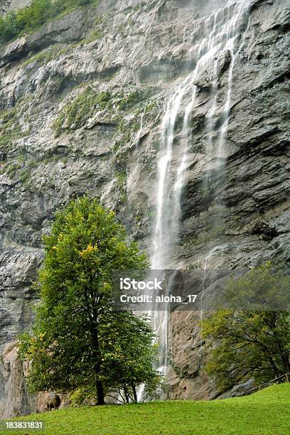 워터풀 스위스 알프스 0명에 대한 스톡 사진 및 기타 이미지 - 0명, 나무, 녹색