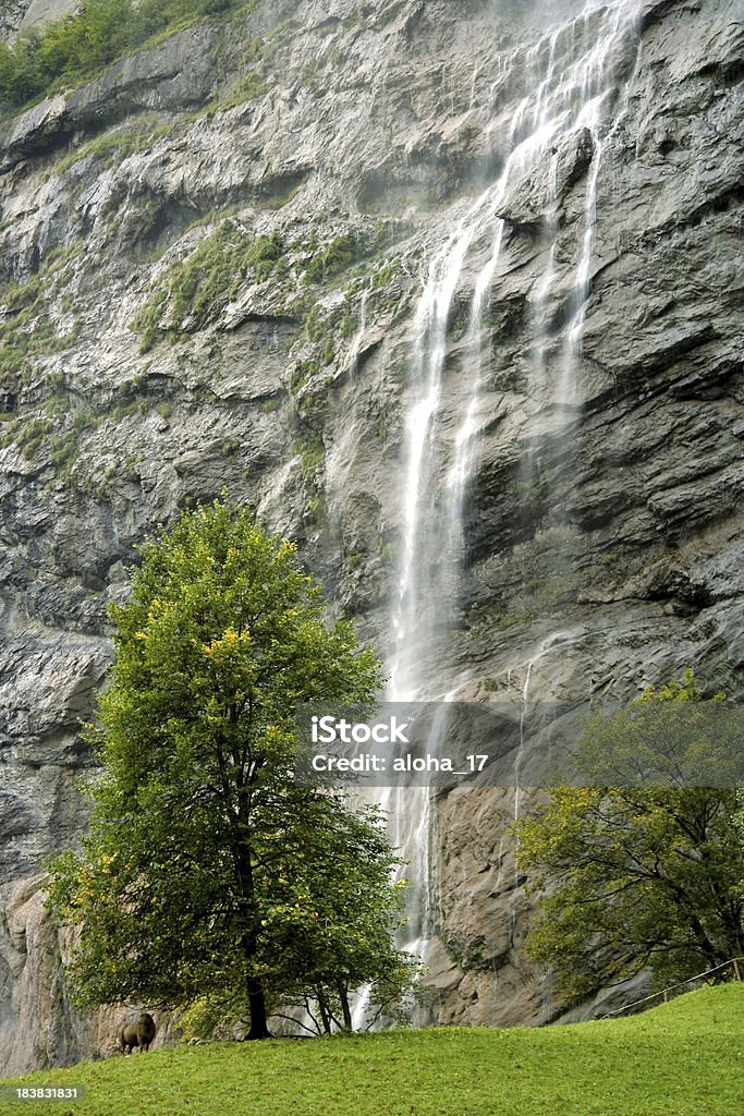 Wodospad w Alpy Szwajcarskie - Zbiór zdjęć royalty-free (Alpy)