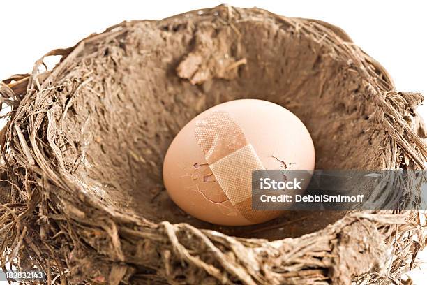 Repairing The Nest Egg Stock Photo - Download Image Now - Adhesive Bandage, Animal Egg, Animal Nest