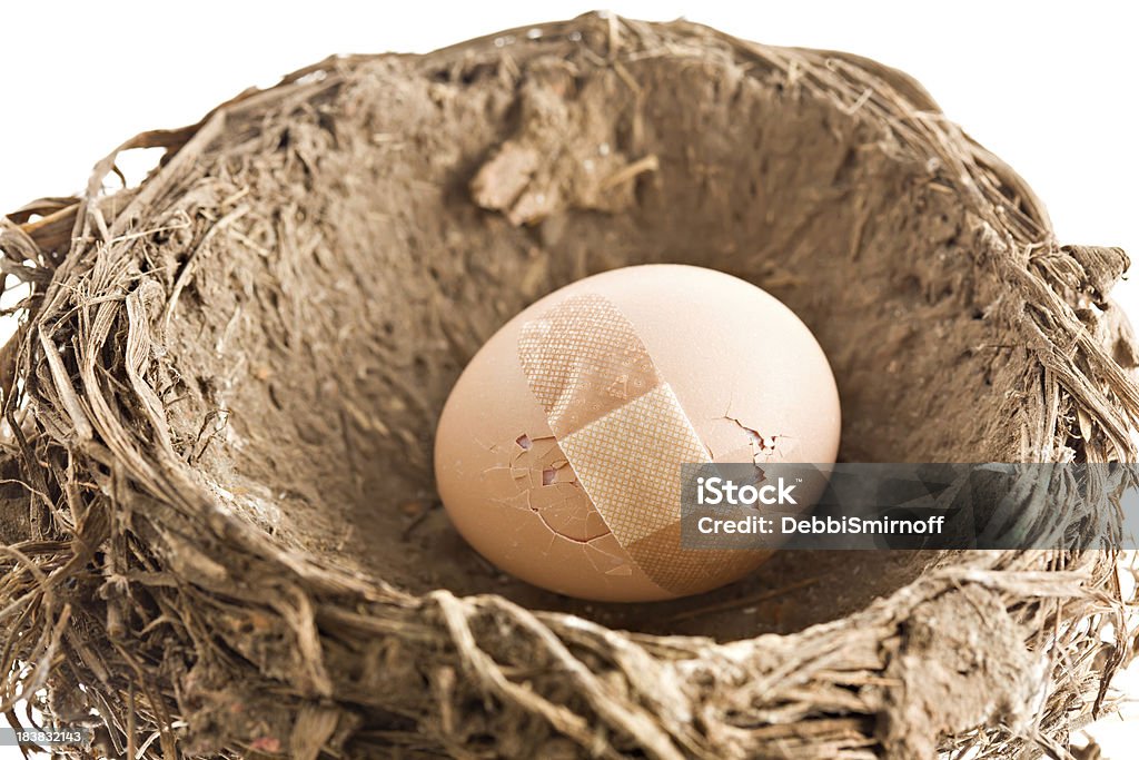 Reparar o Nest Egg (expressão inglesa - Royalty-free Conceito Foto de stock