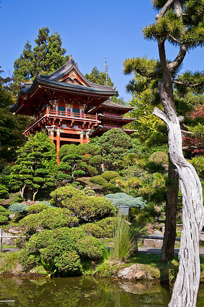 istock Japanese garden landscape 183832277