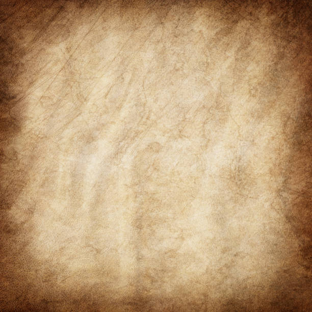istock High Resolution Animal Skin Old Parchment Vignetted Grunge Texture 183832365